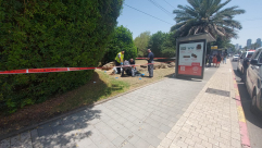  العثور على جثة شخص داخل حديقة بتل ابيب 