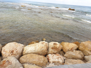 الطقس: اجواء معتدلة