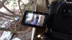 قريباً: عمل فني جديد لفرقة "نبني أمل" من اللد يُحاكي أحداث العنف بعنوان "دم محرم"