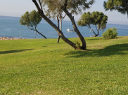 الطقس: اجواء مستقرة ولا تغيير على درجات الحرارة