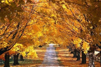 فصل الخريف يبدأ الاثنين القادم