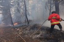 سلطة الاطفاء والانقاذ تُصدر قراراً بمنع اشعال النار في المناطق المفتوحة خلال الصيف