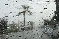 الطقس: الأمطار تعود غدا