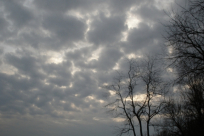 الطقس: ارتفاع درجات الحرارة وأمطار محلية محتملة