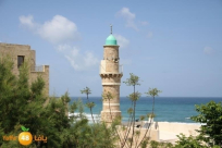 أسماء خطباء الجمعة في يافا اللد والرملة لهذا الأسبوع