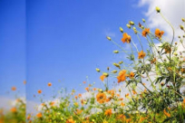 حالة الطقس: ارتفاع على درجات الحرارة 