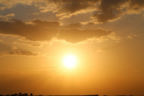 نصائح وتوصيات لتجنب ضربات الحر