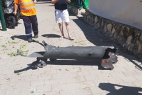 رسائل مهمة .. "كلكم راعٍ وكلكم مسؤول"