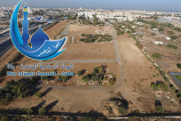 الهيئة الاسلامية بيافا رداً على قرار لجنة التخطيط "نحن من نقرر ملكية مقبرة طاسو"