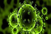  قطاع غزة يُسجل أكبر عدد من الإصابات (كورونا) منذ بدء الجائحة