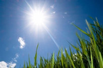 أجواء حارة اليوم.. وخماسينية مطلع شهر رمضان