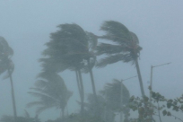 الولايات المتحدة: ارتفاع ضحايا الأعاصير إلى 83