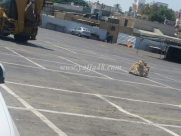  بالفيديو: بلدية اللد تصعد من اجراءاتها لمنع اقامة صلاة العيد في ساحة السوق