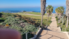 الطقس: أجواء لطيفة ولا تغيير يذكر بدرجات الحرارة