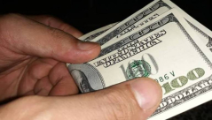  فأر يمزق 50 ألف دولار ادخرها مواطن في غزة