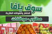  يافا: مطلوب عاملات للعمل في سوق يافا للخضار والفواكه