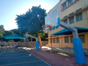  فيديو: كيف يُعقل أن تُغلق مدرسة الزهراء الابتدائية بيافا