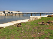 شاهد: مناظر رائعة من مصبّ نهر العوجا في البحر شمال يافا هذا الصباح 