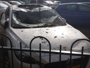 يافا: أضرار بمركبة اثر سقوط شجرة بفعل الأحوال الجوية 