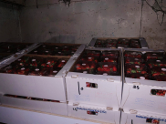 الشرطة: ضبط مئات صناديق الفراولة المهربة من غزة في تل ابيب