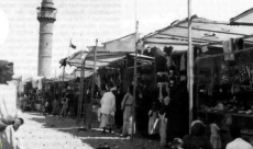 فيديو نادر لموسم روبين قضاء مدينة يافا