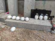 الرملة : ضبط 12 قنبلة جاهزة للاستخدام في حي الجواريش