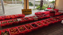  يافا: لجنة الزكاة تدعو كل محتاج الى إلى سوق الخضروات الخيري الأسبوعي 