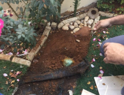 اللد - مداهمة وضبط كلغم من السموم واعتقال شخصين