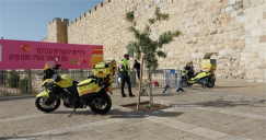 3 اصابات بينها خطيرة في عملية طعن بالقدس واعتقال المنفذ