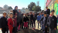 بالصور: طلاب مدرسة الزهراء الابتدائية في اللد يزرعون الأشجار في ساحة المدرسة