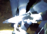 الرملة: العثور على سلاح "كارلو" مدفون قرب حي الجواريش 