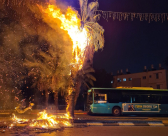 فيديو: احتراق شجرة نخيل في شارع ييفت والاطفائية تهرع للمكان 