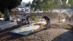   بالصور: شباب آل أبو صويص وآل الشمالي في حملة لتنظيف مقبرة النبي صالح بالرملة