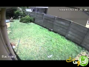 شاهد ما الذي أفزع هذا اللص عند محاولته سرقة بيت