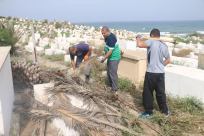 بالفيديو: لجنة إكرام الميت تُنظم حملة لتنظيف مقبرة الكازاخانة بمدينة يافا 