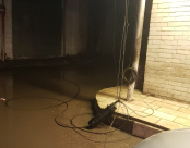 اللد: انقطاع الكهرباء عن مناطق واسعة اثر سقوط عامود بسبب الرياح العاصفة