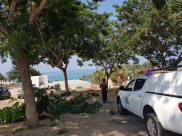 بالصور: المحامي أمير بدران ينظم جولة برفقة دائرة التطوير في البلدية في شوارع يافا