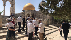 عشرات المستوطنين يقتحمون المسجد الاقصى