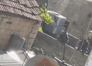 مصادر: اغتيال 3 شبان في نابلس نابلس