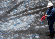 فيديو: مخلوق غريب يثير دهشة البريطانيين