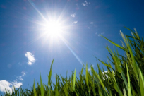 الأحد: ارتفاع على درجات الحرارة وسط استقرار جوي