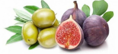 ماذا يحدث لجسم الانسان عند تناول التين والزيتون معاً؟