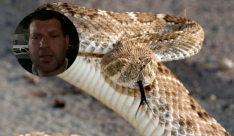 فيديو: تحذيرات ونصائح - مواطن من اللد يُحذر من الأفاعي ويدعو للانتباه منها