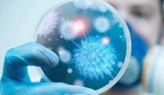 ارتفاع الوفيات بسبب كورونا في الصين إلى 2715 شخصا