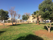 يافا: الاعلان عن مشروع سكني جديد لبناء شقق سكنية فاخرة في حي الجبلية 