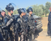  اللد: اعتقالات خلال اقتحام أرض عائلة النقيب بالمدينة