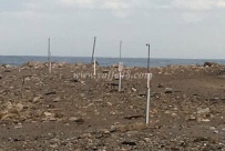 صور: اشارات وأعمدة لما يُعرف بحدود السبت تم نصبها على شاطئ العجمي قرب المتنزه