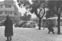  صورة نادرة لعام التلجة 1950 في يافا 