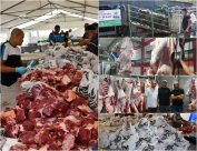   بالفيديو: حصاد مشروع إحياء سنة الأضاحي في يافا لهذا العام 