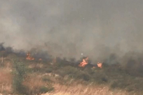 فيديو: حريق يتسبب بتأخر مواعيد الطائرت في مطار اللد